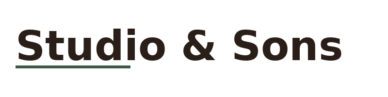 Studio & Sons logo
